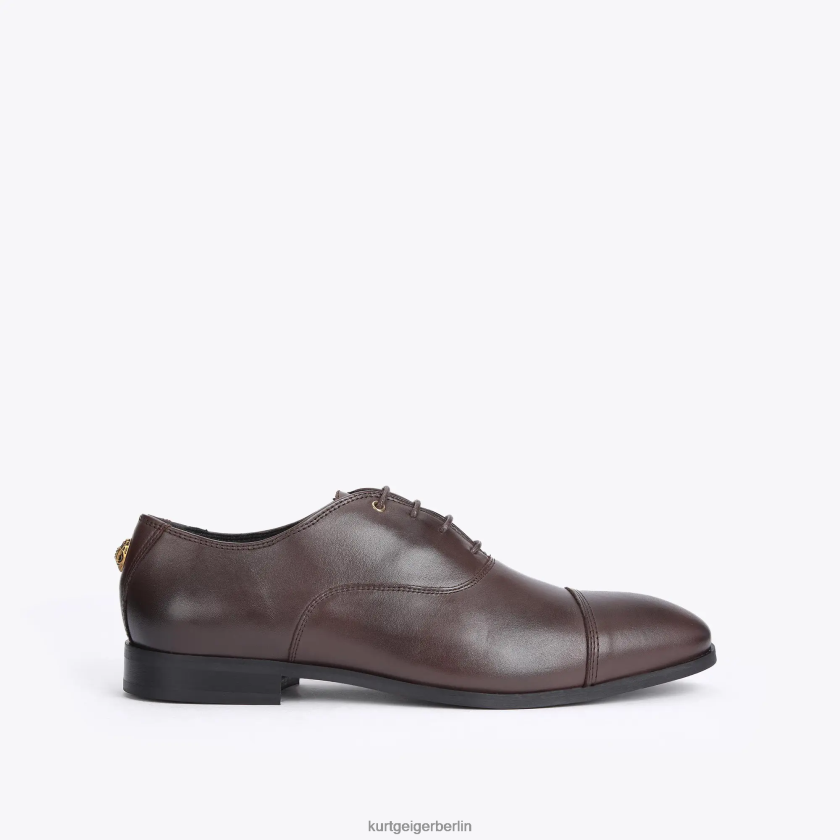 Kurt Geiger Männer London Harris Oxford 882RTJ647 | Schuhwerk braun